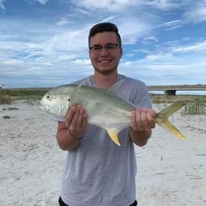 Meet your Posher, Austin